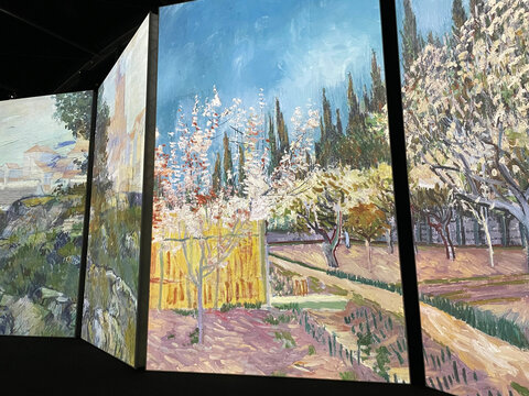 Brisbane, Queensland/Australia - October 29 2021: Van Gogh Alive Exhibition featuring art, people, sunflowers and information about Van Gogh's life