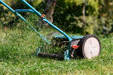 lawn mowing with a manual drum lawn mower - obrazy, fototapety, plakaty