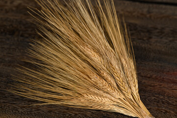 dry ears of wheat in lies on a wooden table