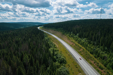 Aerial view of scenic road between green trees with pines on a sunny summer morning. Nature landscape in Siberia, Russia. A road passing through a coniferous forest, aerial shot from a drone.