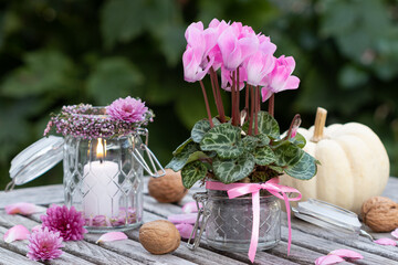 romantische Dekoration mit pink Alpenveilchen und Kerze im Glas 