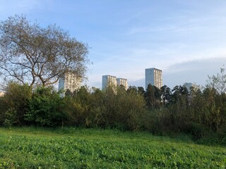 panel houses on the background of the forest