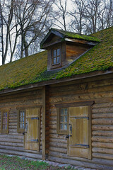 Fototapeta na wymiar The mossy roof of a wooden building