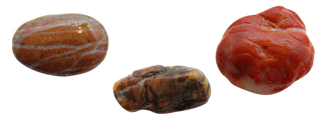 Set of different wet sea stones isolated on white background. Macro closeup.