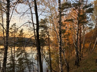 Naklejka na ściany i meble view of the lake located behind the trees. autumn, evening