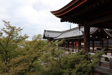 Temples and shrines in Kyoto in Japan 日本の京都の神社仏閣 : Hon-do Main Shrine in the precincts of Kiyomizu-dera Temple at Higashiyama 東山の清水寺の本堂