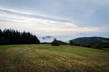 Obraz premium Camminando fra i boschi lungo la Via di Francesco