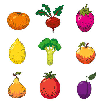 Set of fruits and vegetables illustrations. Hand drawing colorful doodles icon, organic farm product. Vector sketch illustration vintage, retro engraving style