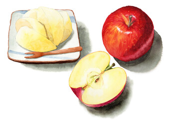 アナログ水彩りんごと切ったりんごのセット