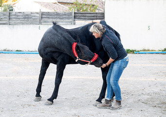 osteopath and horse