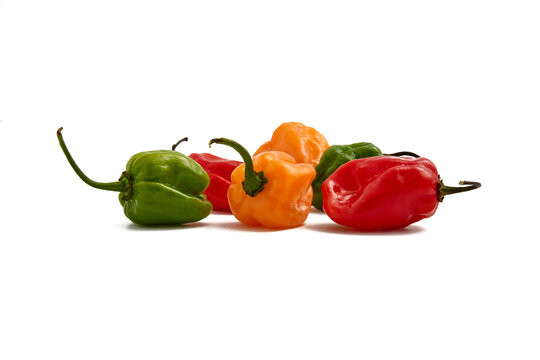 Chiles habaneros rojos, verdes y amarillos en fondo blanco.