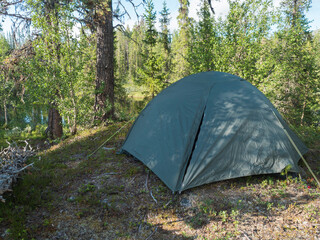 Small green tent in the wild beautiful Lapland nature forest landscape with small lake, creek, birch and spruce trees. Northern Sweden summer at Kungsleden hiking trail.