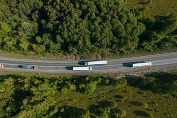 Aerial view of scenic road between green trees with pines on a sunny summer morning. Nature...