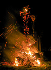 christmas tree lights