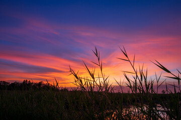 Sunset silhouette landscape The last light on the  the rice field, Kalasin province, Thailand