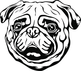 Black and white hand drawn face of pug. Vector illustration tattoo art