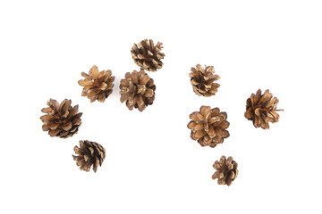 Group of pine cones isolated on white background