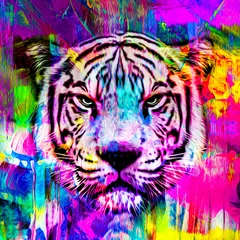 Foto op Canvas Colorful artistic tiger muzzle with bright paint splatters © reznik_val