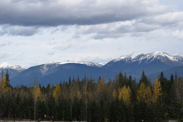 Fototapeta premium Canada nature