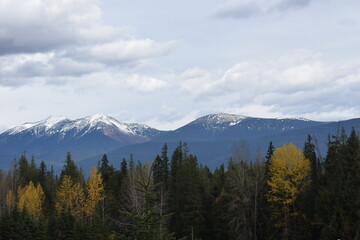 Canada nature