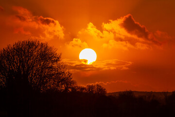 Beautiful orange sunset behind the trees