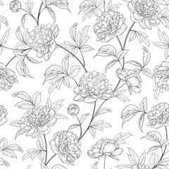 Nahtloses Muster aus Blüten von Pfingstrosen auf weißem Hintergrund.
