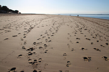 beach and atlantic ocean - arcachon - france 
