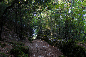Scendendo verso Collescipoli dalla Romita di Cesi lungo la Via di Francesco