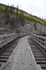 Fototapeta premium Canada nature