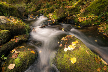  Beautiful small stream of water flowing through moss covered rocks