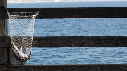Saltwater angling, wooden pier boardwalk, fishing accessory, tackle or gear. Oceanside California USA. Sea salt water, ocean seascape. Fisherman catch, fresh alive fish in fishnet, nylon net basket.