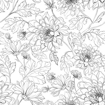 Seamless pattern from flowers of chrysanthemums on a white background.