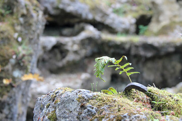 majolan park - blanquefort - france
