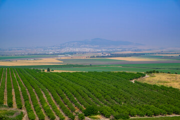 Israeli Golan Heights - 467868607