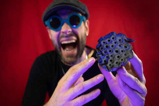 Dried lotus flower in the hands of a man. Representation of trypophobia