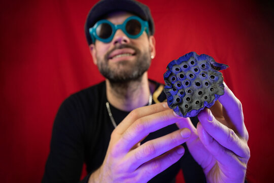 Dried lotus flower in the hands of a man. Representation of trypophobia
