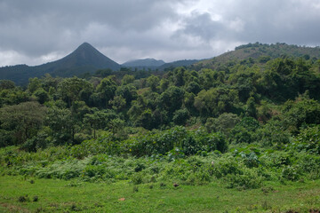 Paysages dans la campagne du mont Manengoubas au Cameroun