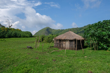 Fototapeta na wymiar Habitations dans un village des Peuls au Cameroun