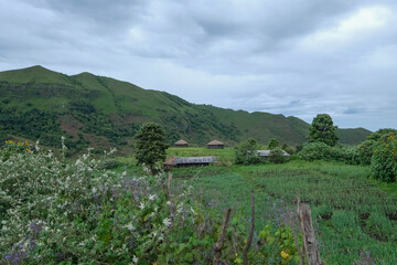 Habitations dans un village des Peuls au Cameroun