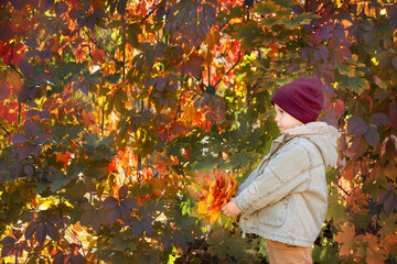 A cute boy on the background of a wall made of grape leaves in autumn.