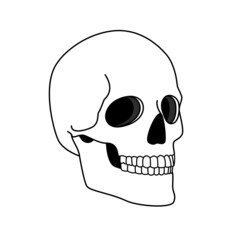 Simple skull. Black lines graffiti doodle sjull, minimalist vector spooky pirate skeleton head, smile cranium warnings image