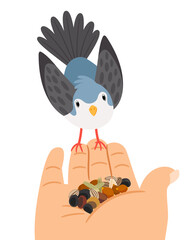 Bird hand feeding. Birds feed amazing relax, grains meal birdie help, good morning fowl grain food vector illustration