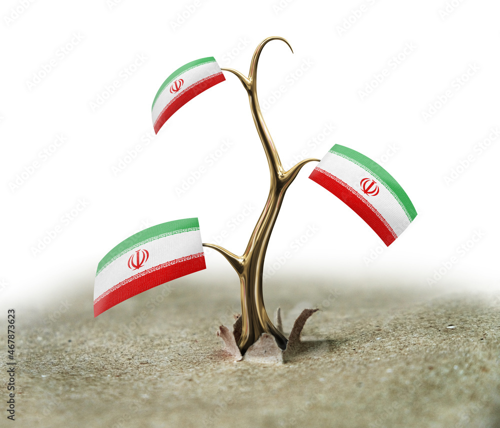 Poster 3d sprout with iran flag on white (clipping path included)
