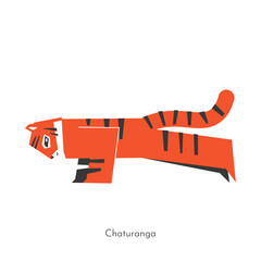 Vector flat isolated concept with animal character. Asian tiger learns relaxing poses and does Chaturanga at yoga class. Basic exercise for beginners. Symbol of flexible and athletic person