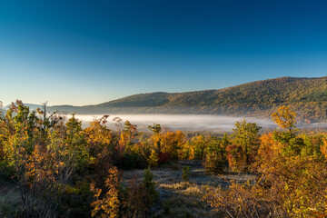 beautiful autumn morning landscape with colorful forest and low fog creeping through mountain valleys under a blue sky