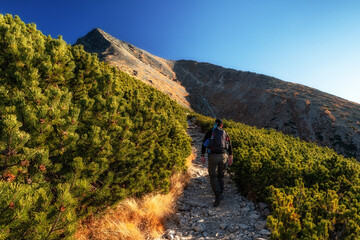 Fototapeta premium Hiker at mountain trail walking on top of the peak Krivan in High Tatras mountains, Slovakia