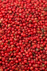 Red hot allspice. Peppercorns close-up.