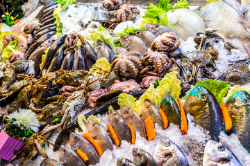sea octopuses on the counter. Fresh fish and seafood at the Fish Market