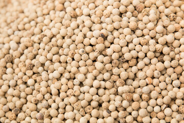 White hot allspice. Peppercorns close-up.