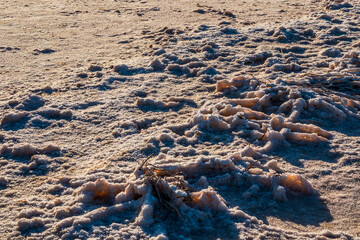 The Salinas of Torrevieja at sunset, a lagoon that produces salt by evaporation and is pink in color due to the microorganisms that inhabit it